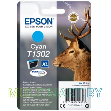 Картридж Epson C13T13024012